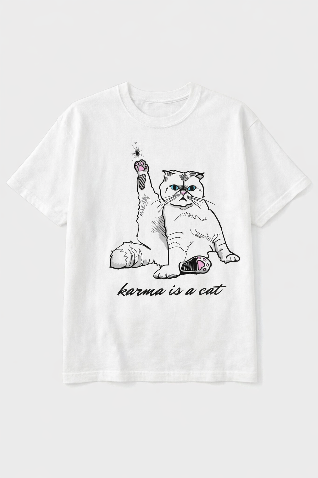 Karma Is A Cat - Swiftie Oversized Tee